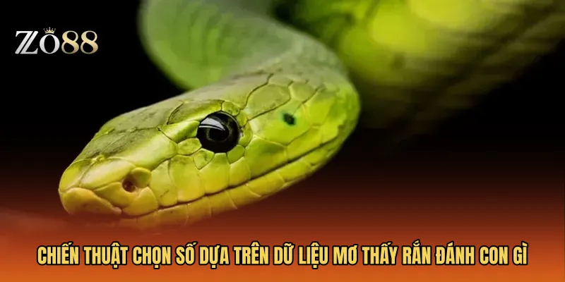 Chiến thuật chọn số dựa trên dữ liệu Mơ thấy rắn đánh con gì