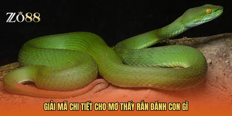 Giải mã chi tiết cho Mơ thấy rắn đánh con gì