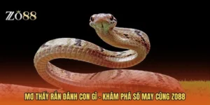 Mơ Thấy Rắn Đánh Con Gì - Khám Phá Số May Cùng ZO88